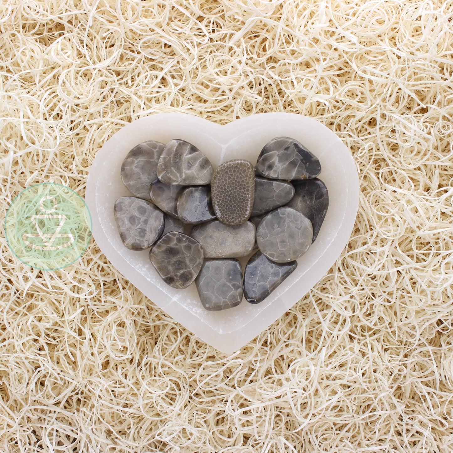 Petoskey Stone Slice A Medium