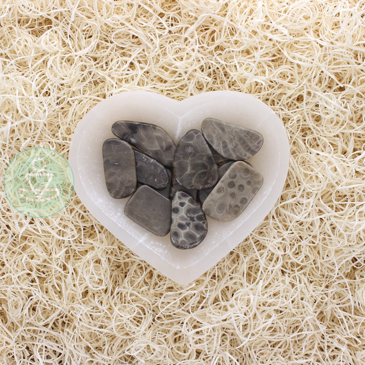 Petoskey Stone Slice A Large